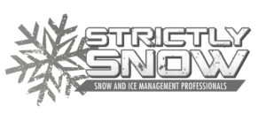 strictlysilver